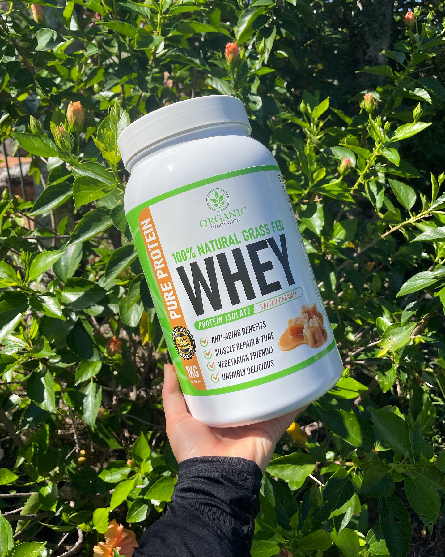 Whey Protein Organic Innovation