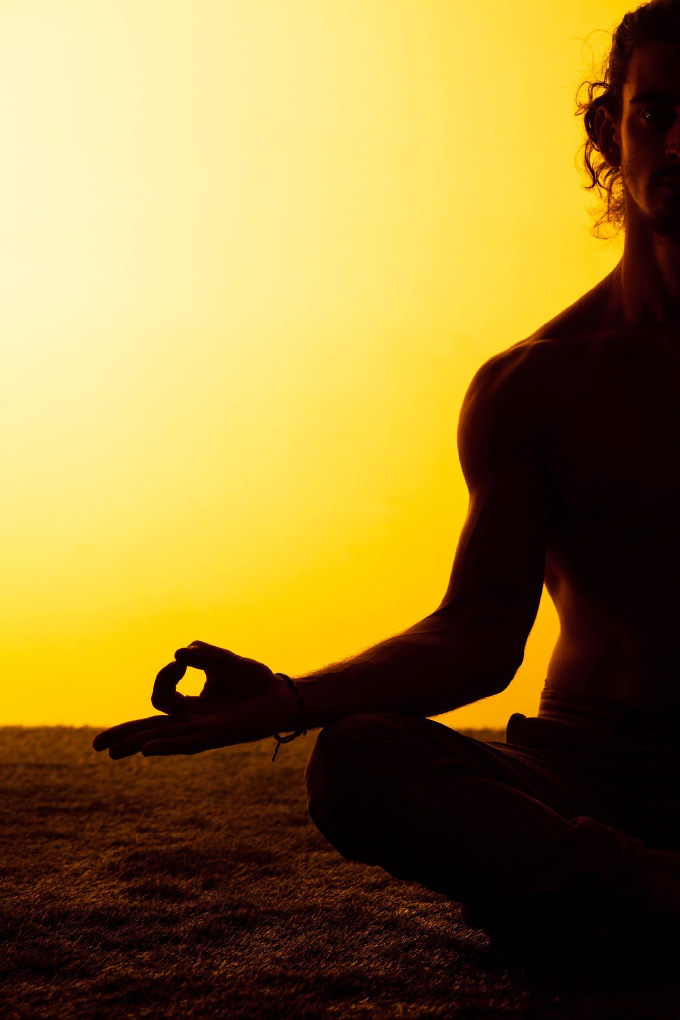 The human chakra system