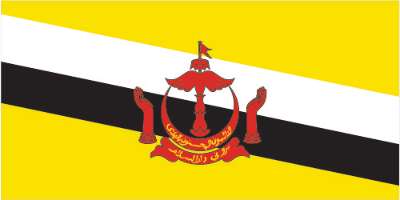 Organic Innovation Shipping To Brunei