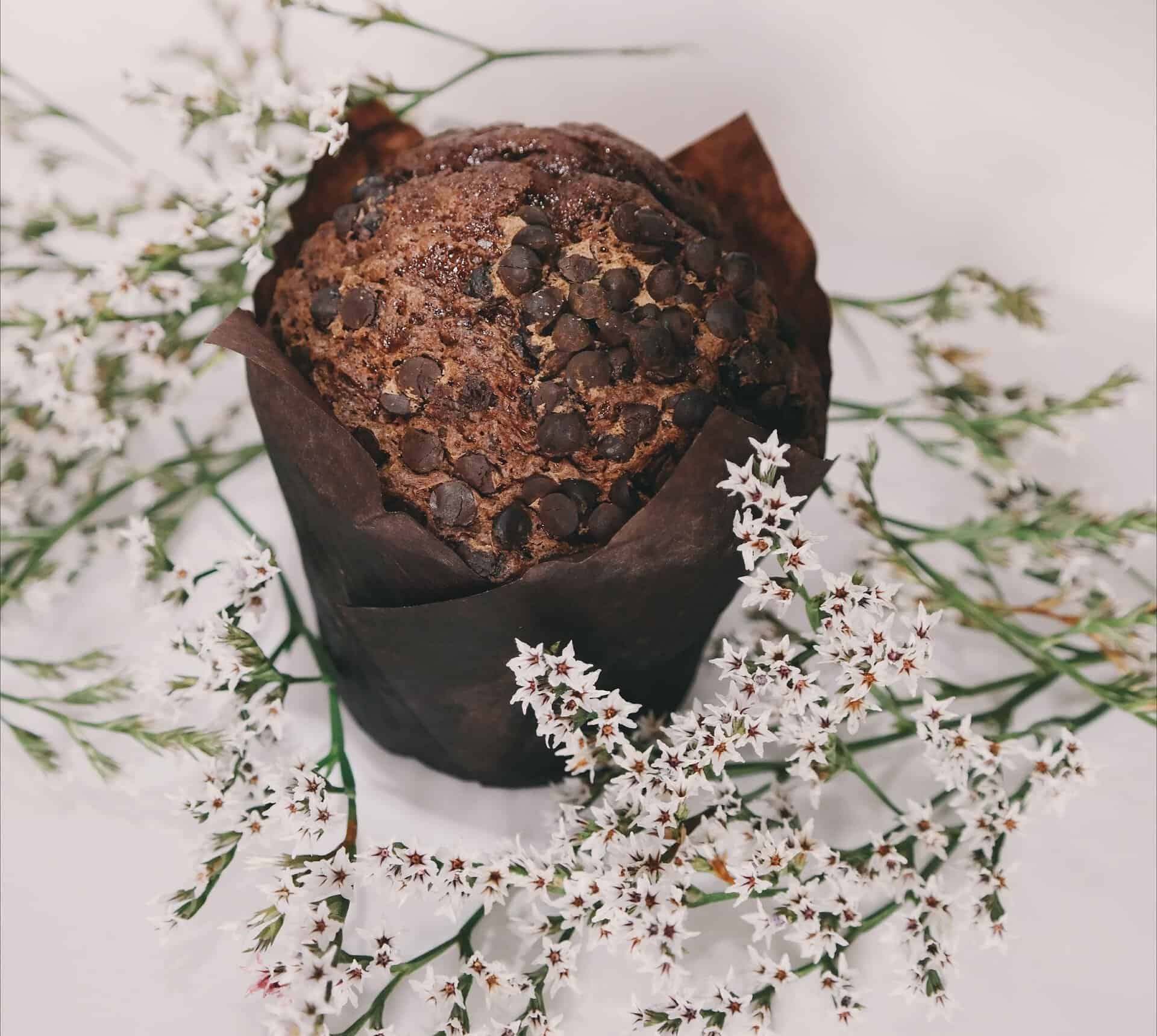 Chocolate Protein Muffins