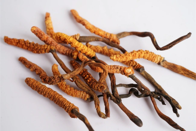 Pile of dried Cordyceps sinensis, also known as caterpillar fungus, on white surface.