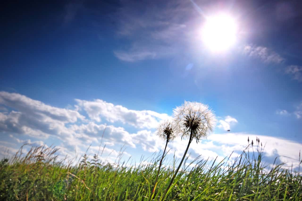 The Importance of the Sun on Our Planet